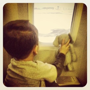 Sharing the flight with elephant