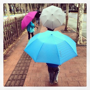Exploring on a rainy day.