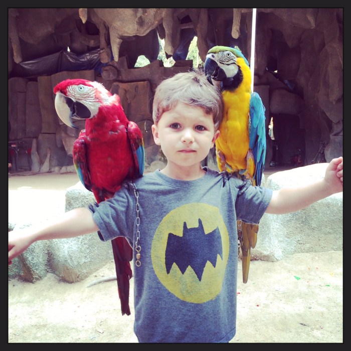 Luke was not quite sure whether to be scared or thrilled at this moment.