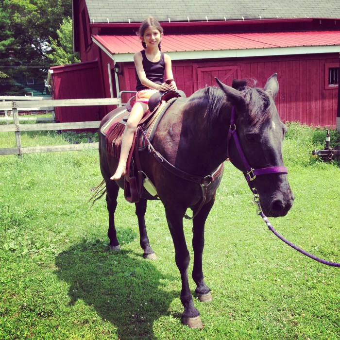 A day on the farm...