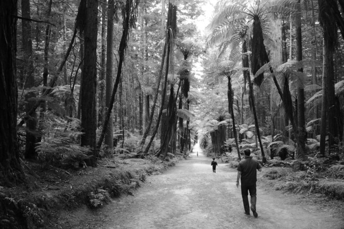 We spent our time here hiking, climbing, and re-creating numerous Star Wars scenes.