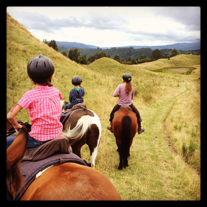 Absolutely stunning.