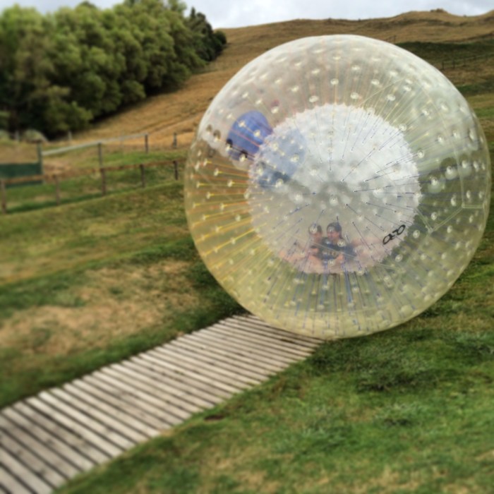 Jack and Kate as hamsters.