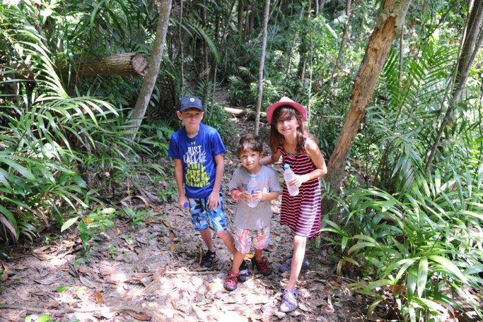 It looks more inviting than in actuality. I think our hike lasted .2 miles before the heat and mosquitoes forced us back to the beach. 