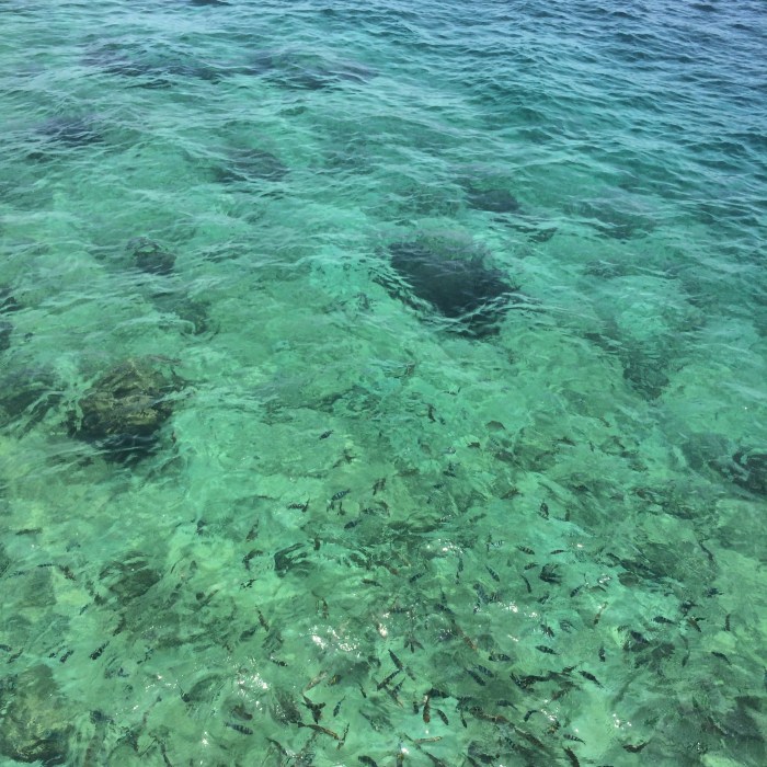 We swam with the schools of fish above their coral reef villages.