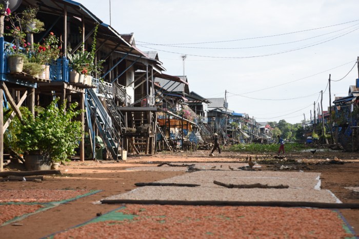 The streets of the island are lined with chickens and tarps covered with drying shrimp.